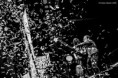 /album/hellfest-2018-concerts/concert4-jpg/